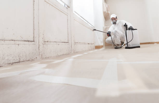 24/7 Emergency Mold Remediation experts in Moorestown, NJ