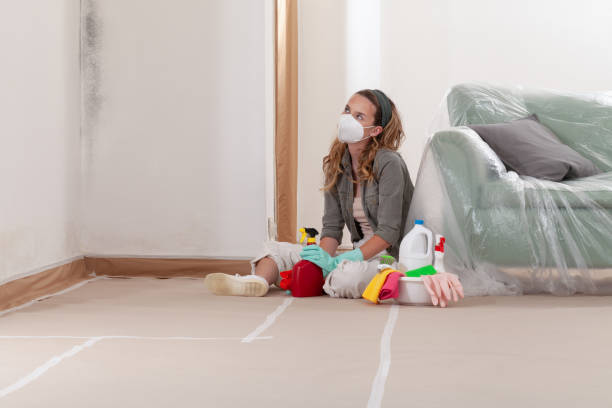 Reliable Mold Remediation contractor in Moorestown, NJ by Mold Remediation HQ